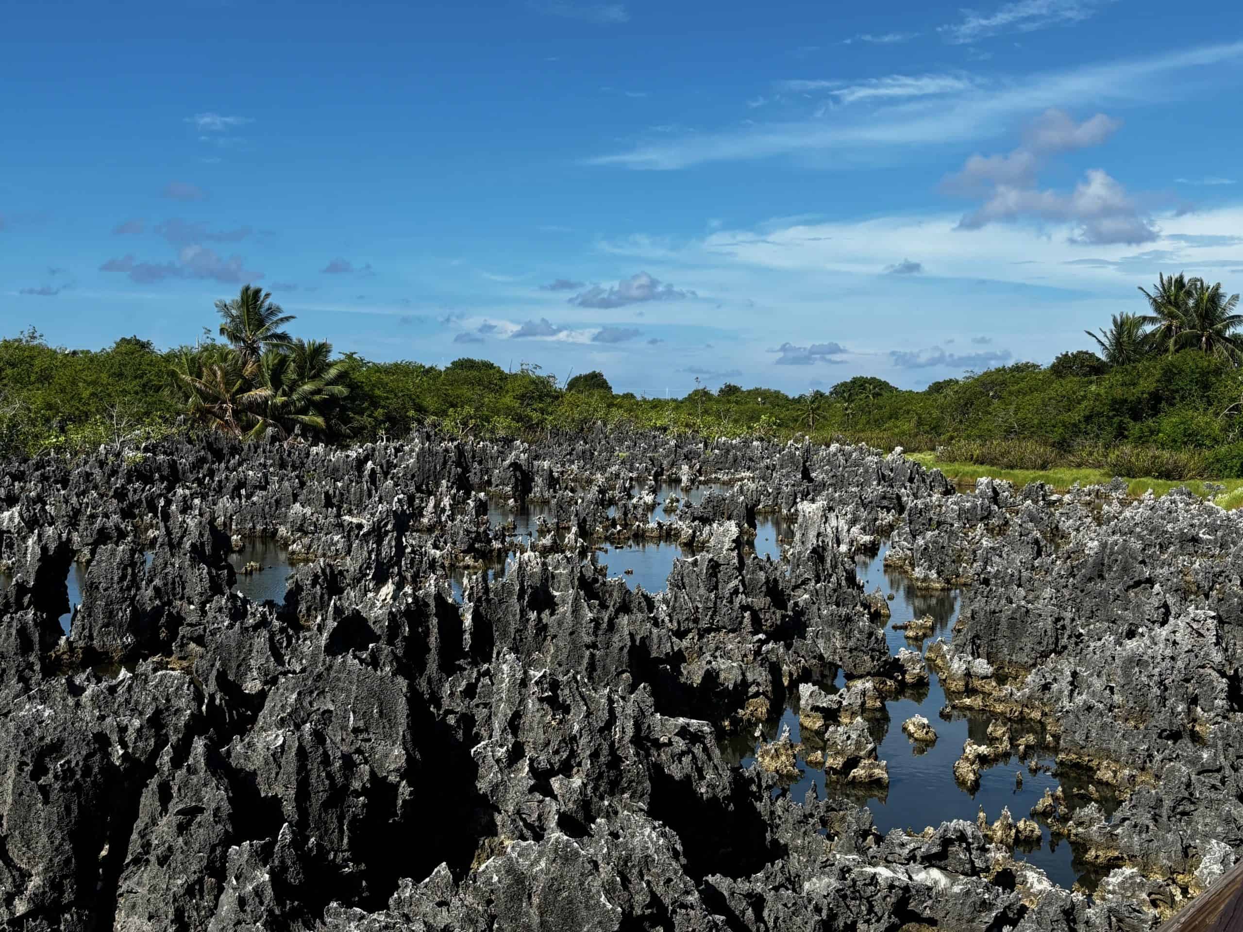 Rock formations at Hell in the Cayman Islands