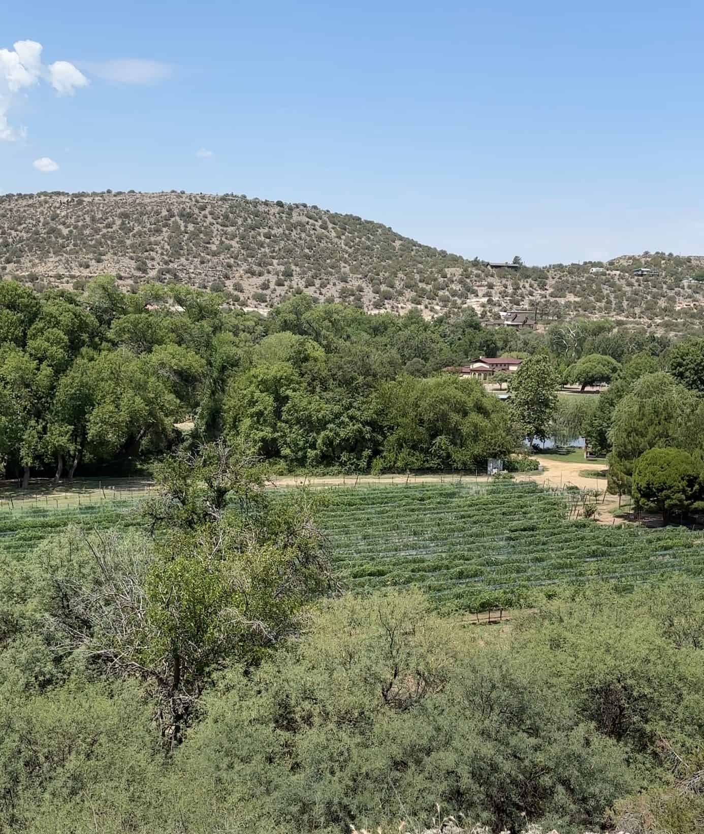 DA Ranch, a stop on a drive from Phoenix to Sedona.
