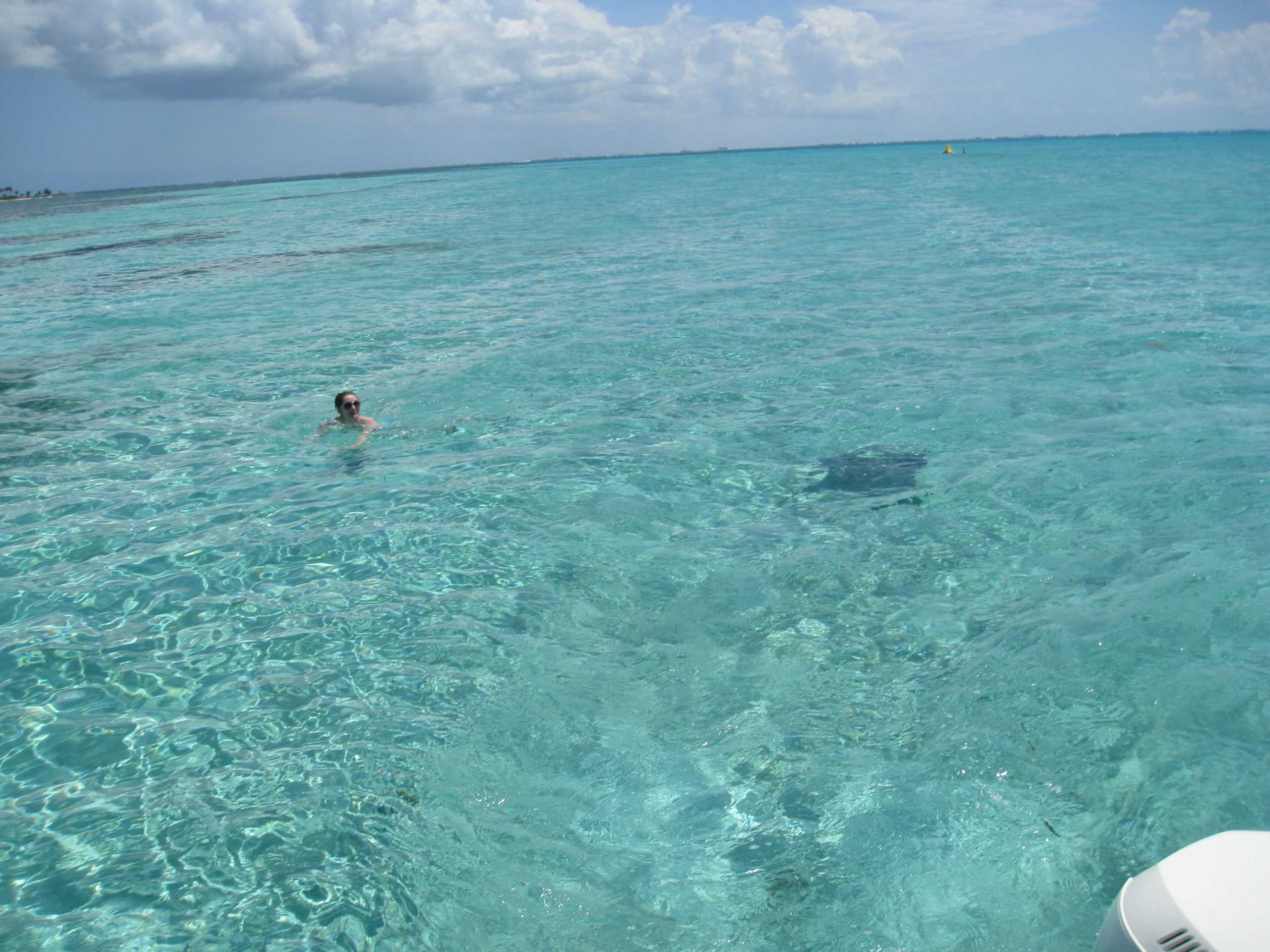 A woman swimming with a stingray at Rum Point, Grand Cayman