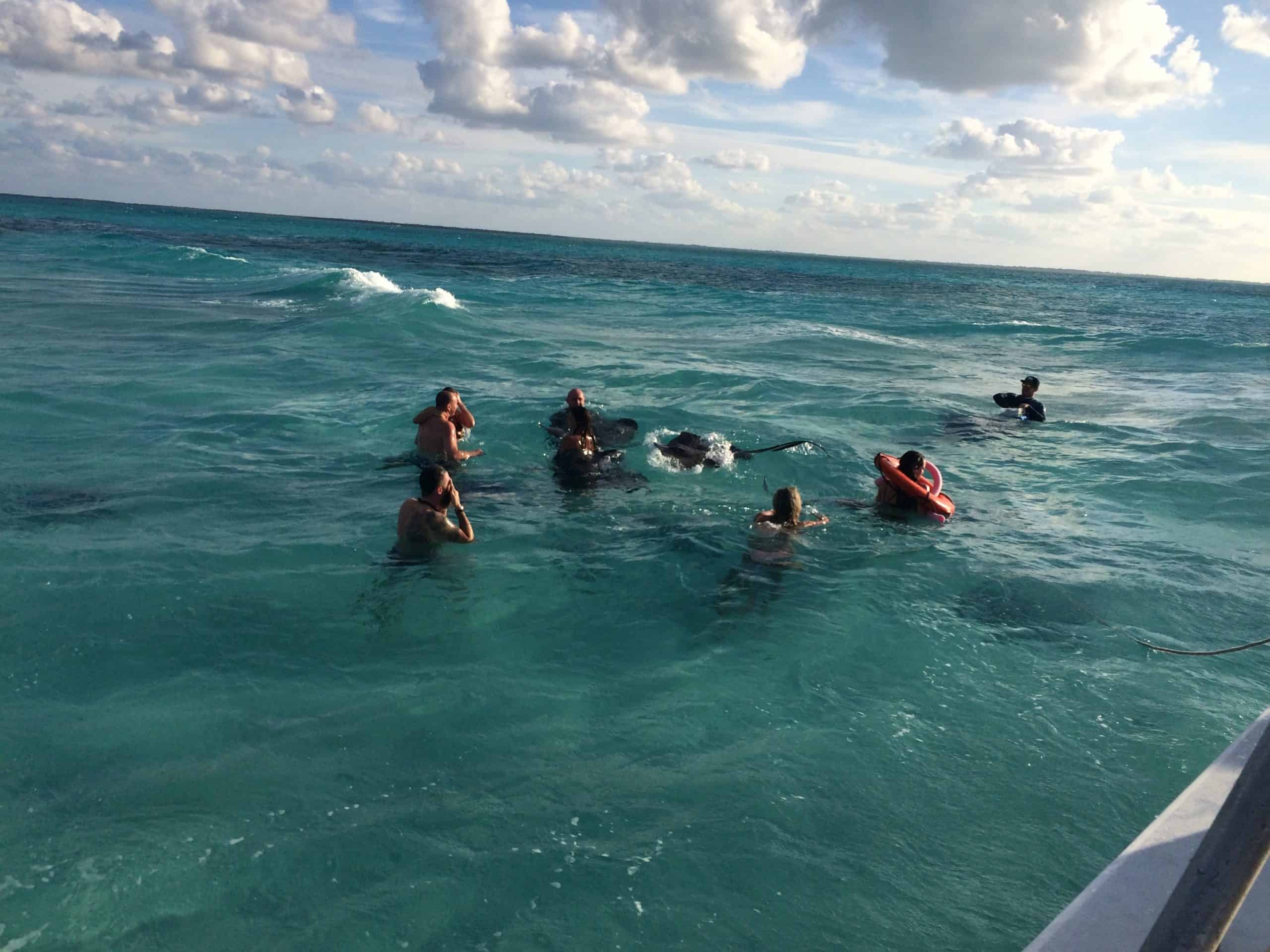 A group of visitors swimming with the stingrays at Grand Cayman's Stingray City Sandbar