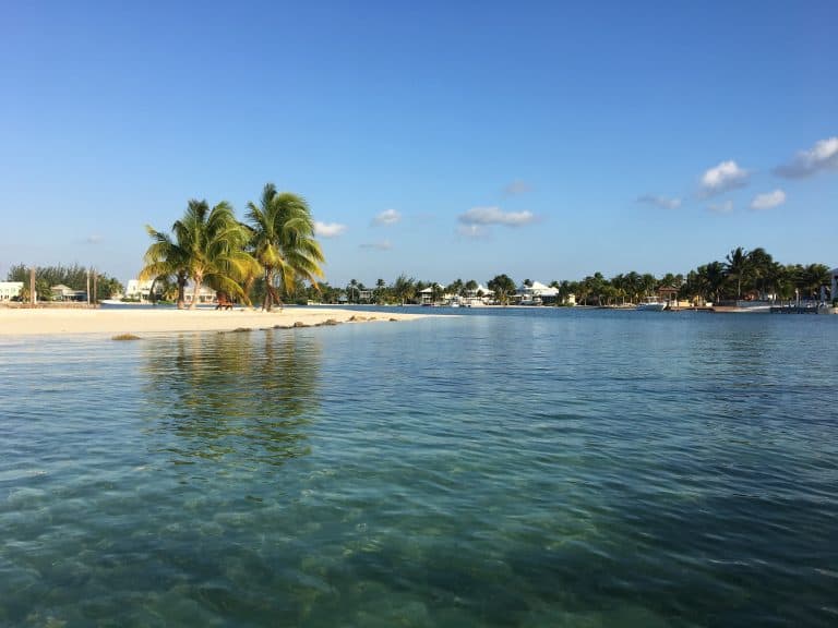 BIOLUMINESCENT BAY GRAND CAYMAN: A COMPLETE GUIDE FROM AN EX-LOCAL