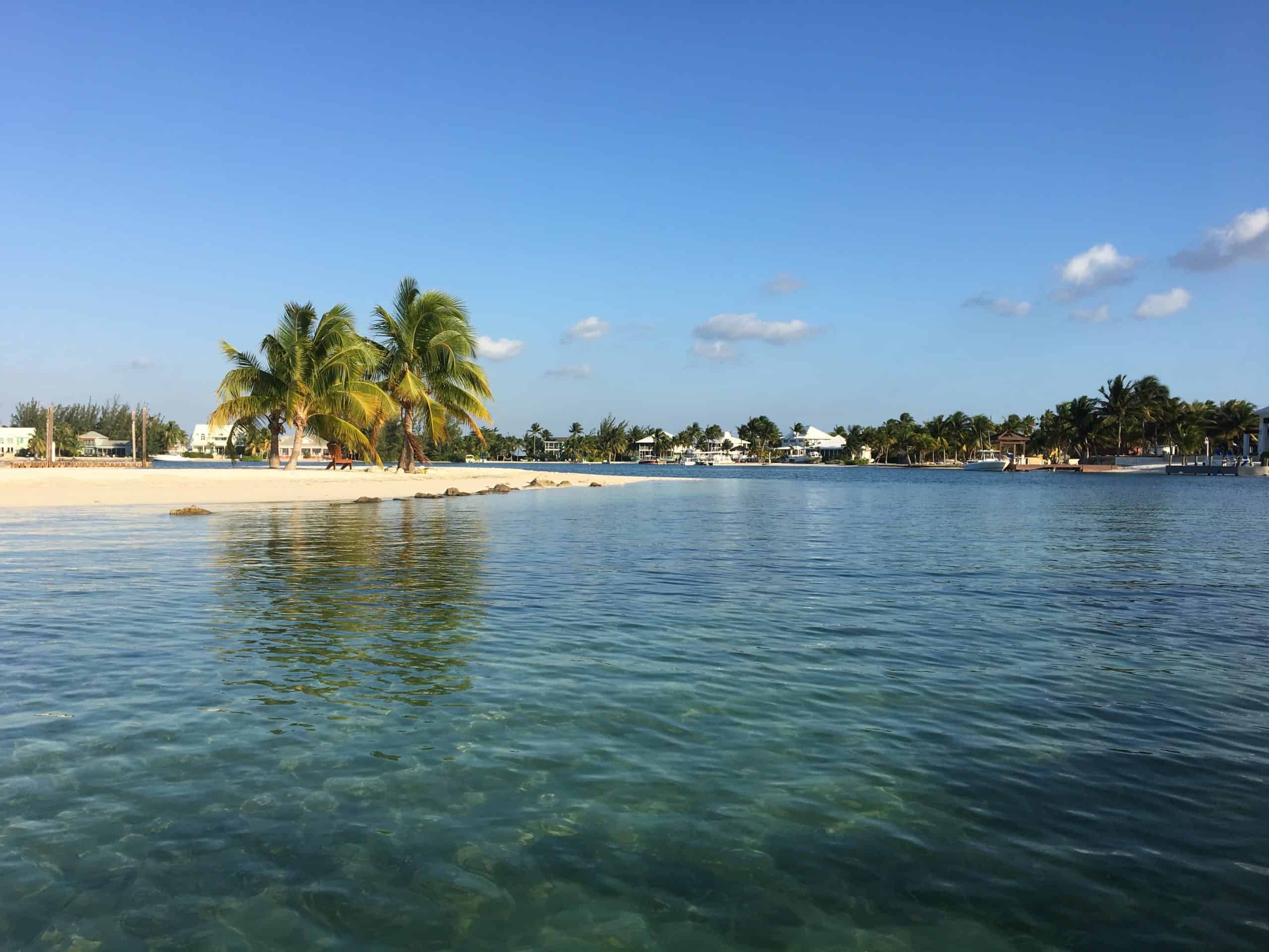 The opening of Bioluminescent Bay in Grand Cayman