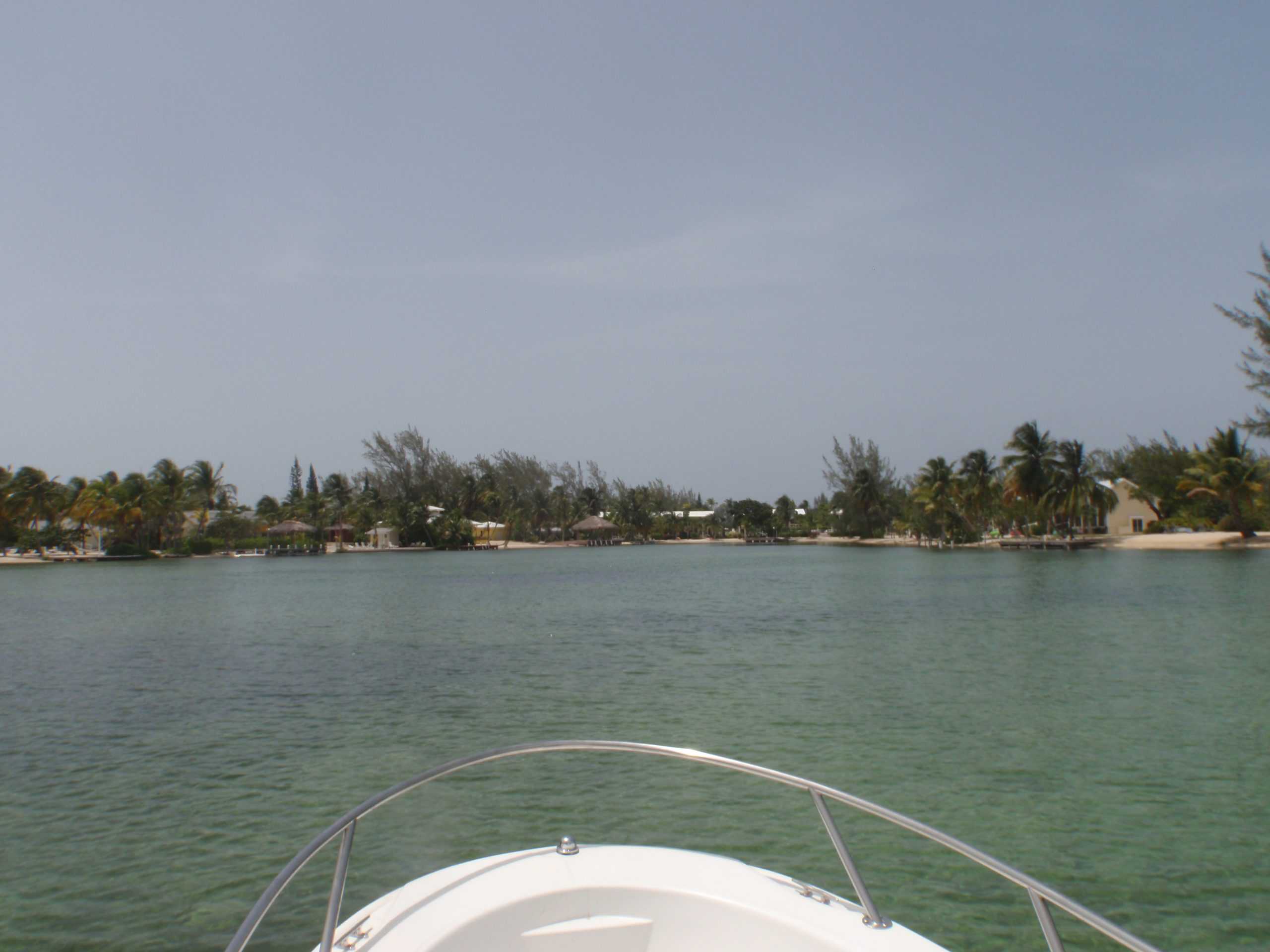 Boating in the middle of Bioluminescent Bay, Grand Cayman